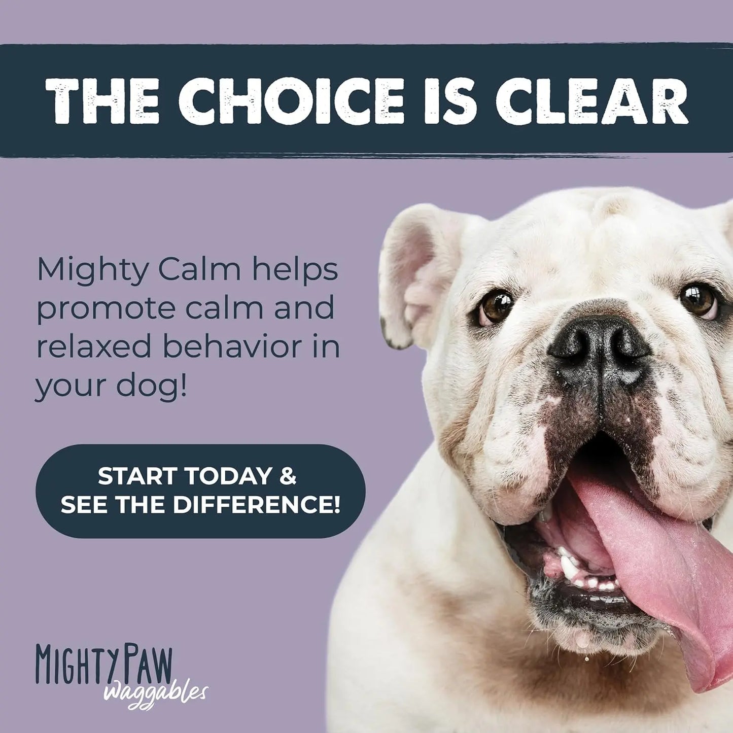 Mighty Calm Chews for Dogs: Stress Relief and Calming Support Supplements