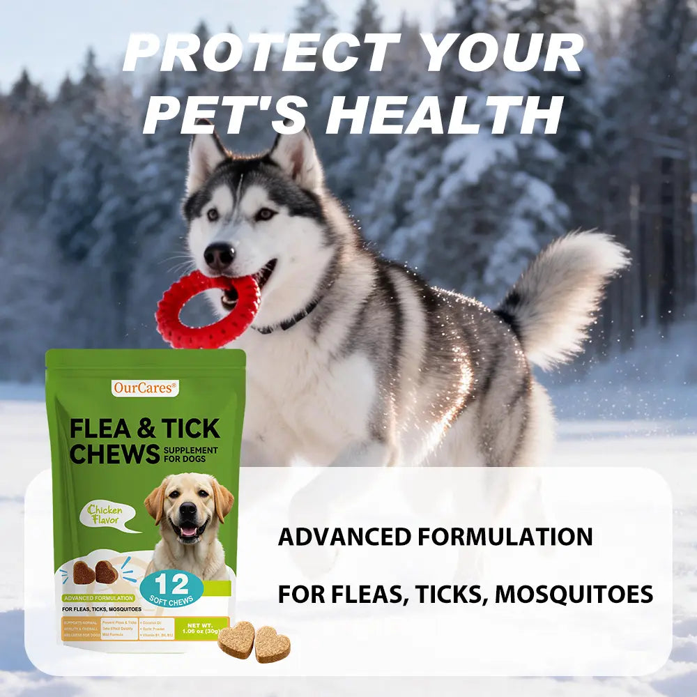 Ourcares Natural Outdoor Defense Dog Chewables – 12 Count Chicken-Flavored Chews with Coconut Oil & Vitamins for Comprehensive Pet Wellness & External Protection Support，Glb