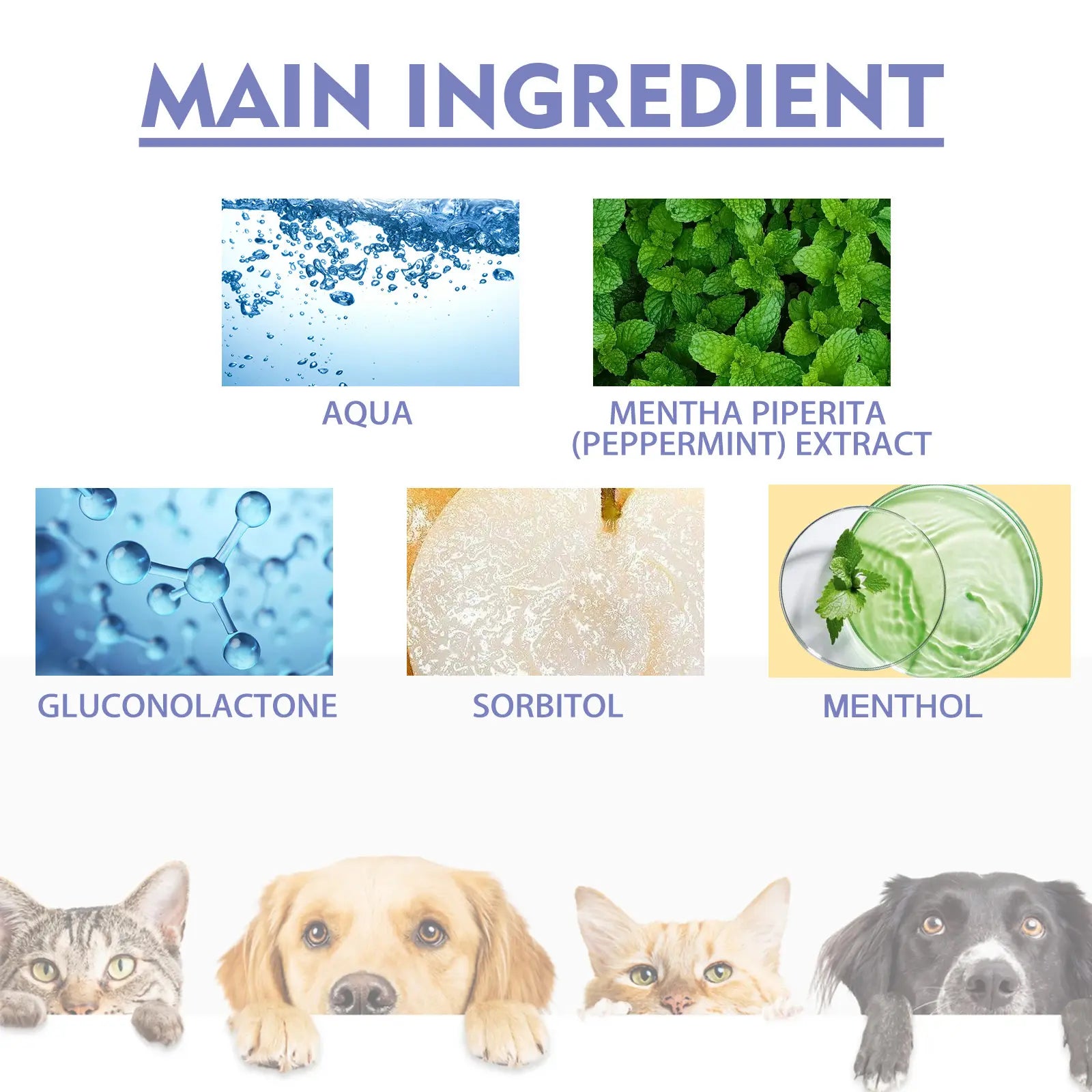 Cat and Dog Tooth Cleaning Spray - Removes Stains and Freshens Breath for Pet Oral Carelitter Pellets, Spray, Litter Tray, Litter Box, Removal,Summervibes,Petlovers Toothbrush Remover