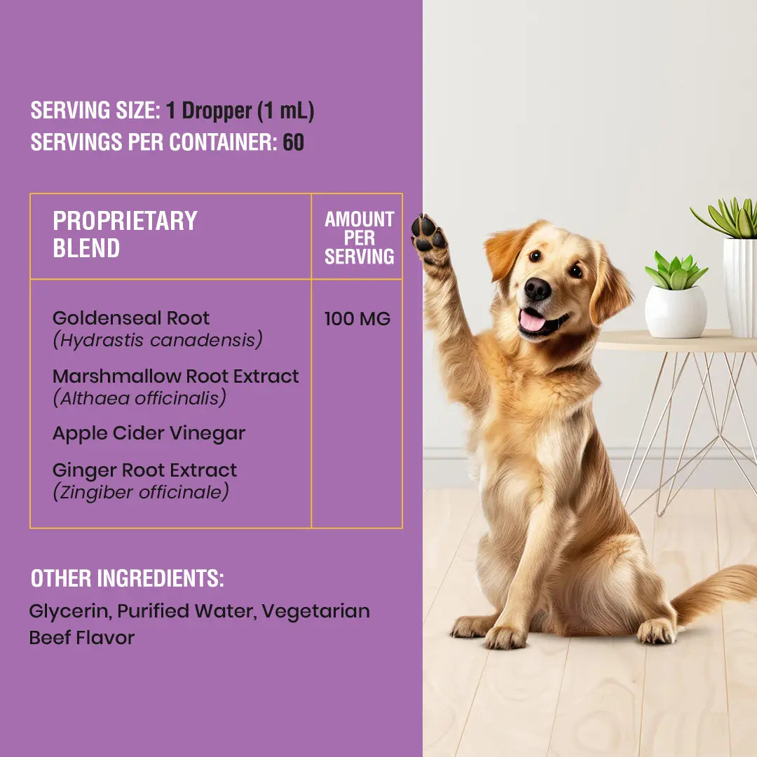 SPECIAL BREED Natural Yeast Infection Treatment for Dogs - 2 Oz, Soothing Itch Relief and Ear Infection Care, Alleviates Irritation and Inflammation