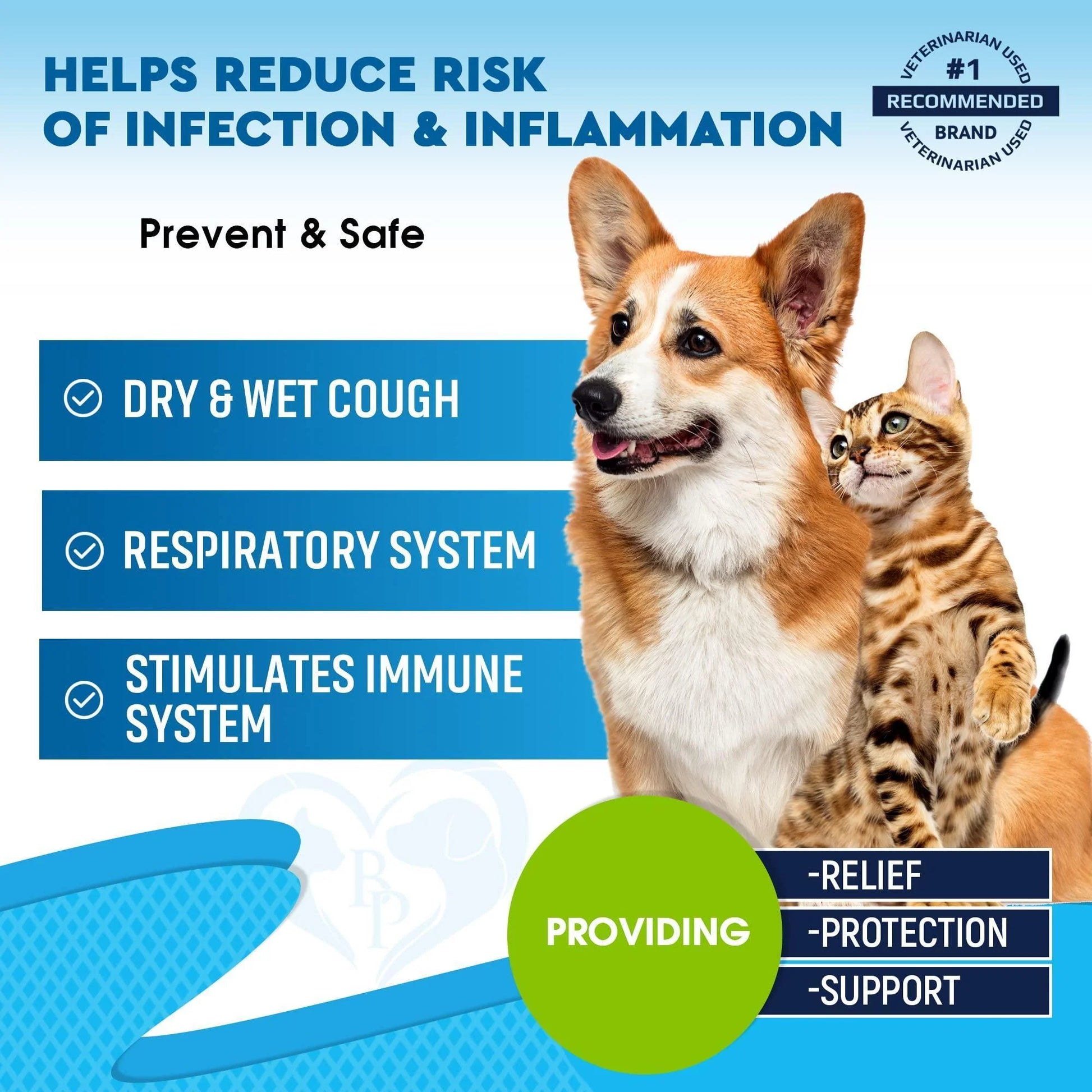 Natural Kennel Cough Treatment - Natural Infection Medicine for Dog Cats Cold Cough Relief
