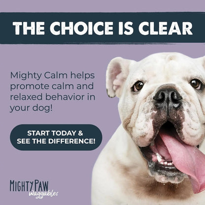 Mighty Calm Chews for Dogs: Stress Relief and Calming Support Supplements