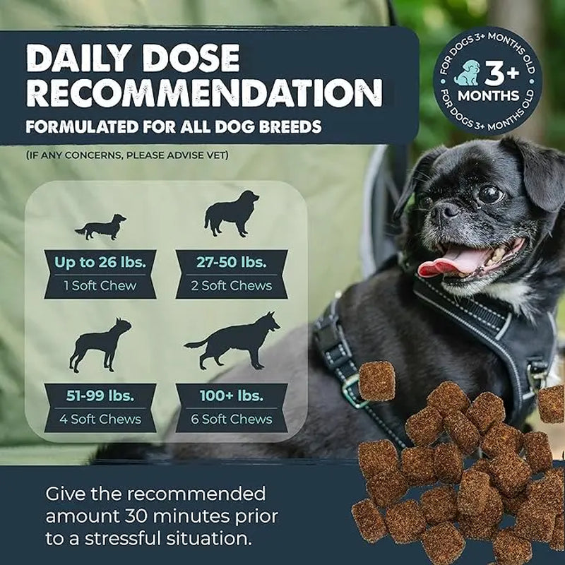 Mighty Calm Chews for Dogs: Stress Relief and Calming Support Supplements