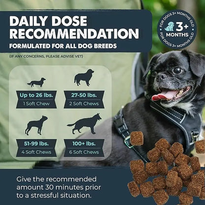 Mighty Calm Chews for Dogs: Stress Relief and Calming Support Supplements
