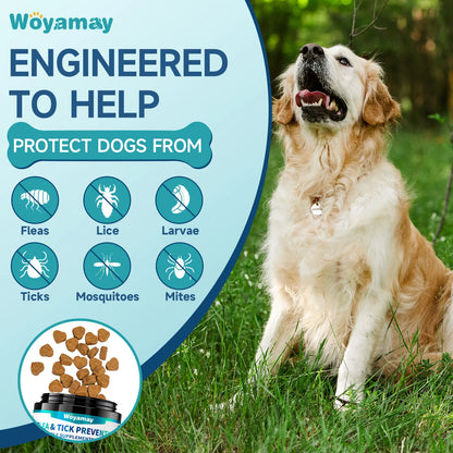 Flea & Tick Prevention for Dogs, 200 Ct Chewables - Support Skin & Coat Health with Fish Oil, Omega-3, Multivitamin, Natural Dog Flea and Tick Chews for All Breeds & Sizes, Chicken Flavor
