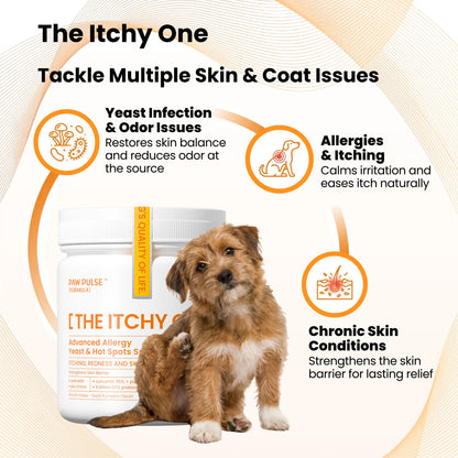 PAWPULSE FORMULA Dog Itching Skin Relief – Allergy Relief Chews for Yeast, Redness and Hotspots, Support Immune and Seasonal Allergy with Probiotics & Omega-3, 90 Chews