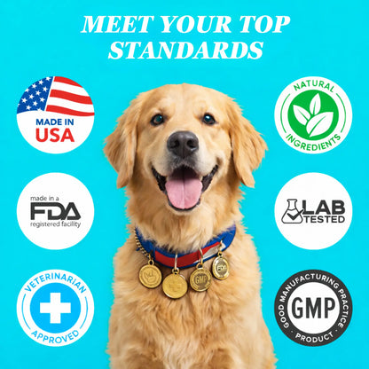 Dog Probiotics, 200 Chews, Gut and Digestive Health, Itchy Skin, Yeast Overgrowth, Diarrhoea & Gas, Overall Health Supplements