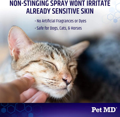 Itch Relief Spray & Hot Spot Treatment for Dogs, Pet MD Hydrocortisone Spray for Dogs, Cats & Horses - Irritated Dry Itchy Skin, Allergies, and Dermatitis - Reduces Topical Inflammation - 4 Oz