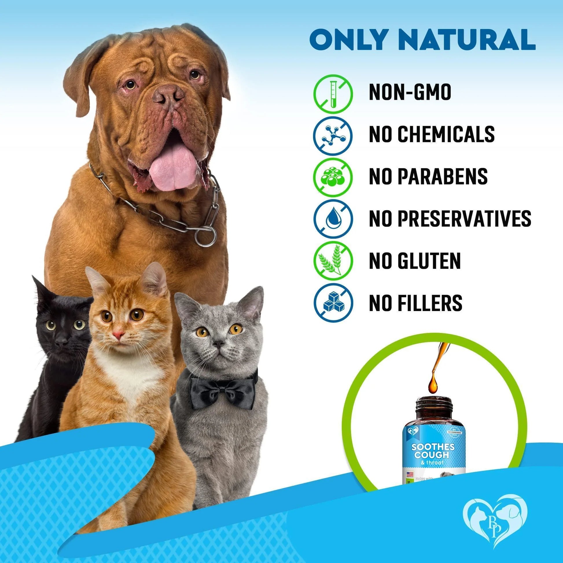 Natural Kennel Cough Treatment - Natural Infection Medicine for Dog Cats Cold Cough Relief