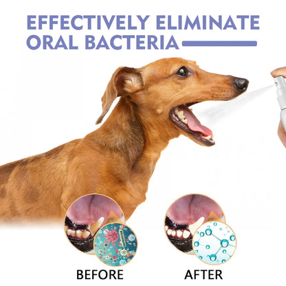 Cat and Dog Tooth Cleaning Spray - Removes Stains and Freshens Breath for Pet Oral Carelitter Pellets, Spray, Litter Tray, Litter Box, Removal,Summervibes,Petlovers Toothbrush Remover