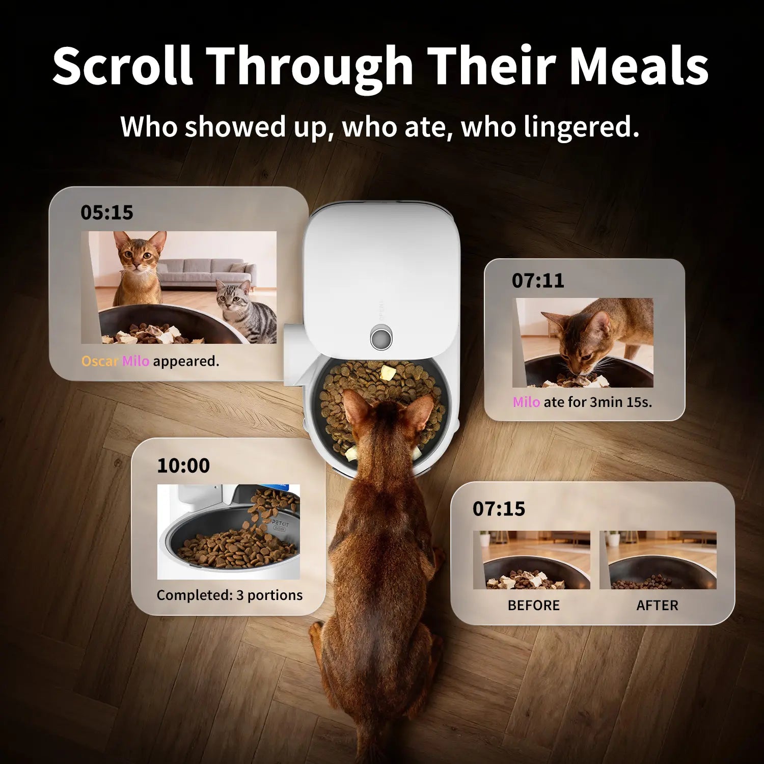 AI Pet Food Feeder with Camera - PETKIT Yumshare Solo 2 - Facial Recognition for up to 15 Pets, Live Video Streaming, App Control, Customized Meal Plans (For Dogs & Cats), Food Feeders