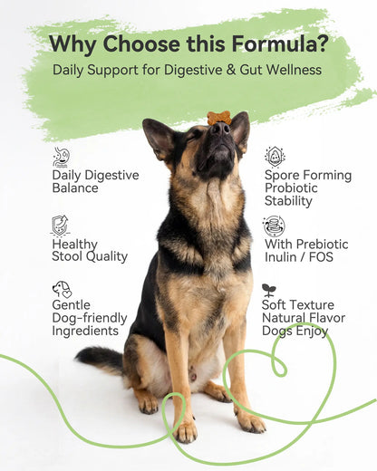 Daily Probiotic Chews for Dogs – Gut Health & Digestive Support Supplement, Spore-Forming Bacillus Coagulans, Multi-Strain Lactobacillus with Prebiotic Inulin/Fos, Chicken Flavor, 120 Soft Chews