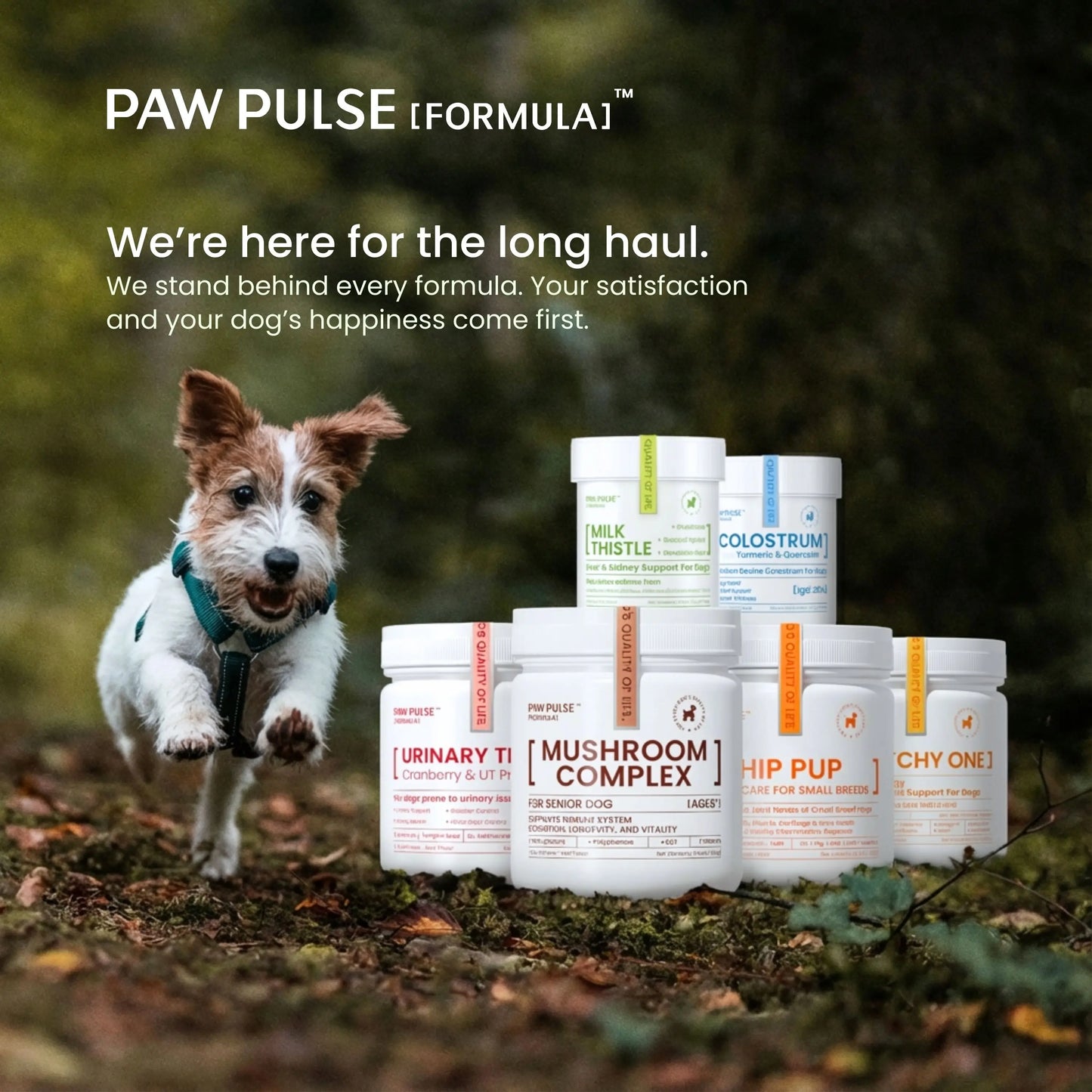 PAWPULSE FORMULA Dog Itching Skin Relief – Allergy Relief Chews for Yeast, Redness and Hotspots, Support Immune and Seasonal Allergy with Probiotics & Omega-3, 90 Chews