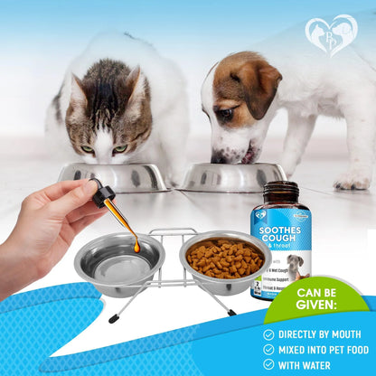 Natural Kennel Cough Treatment - Natural Infection Medicine for Dog Cats Cold Cough Relief