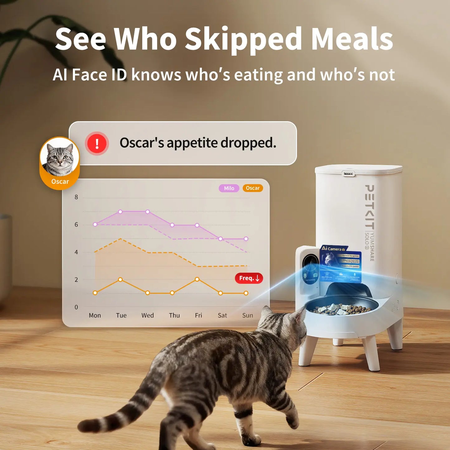 AI Pet Food Feeder with Camera - PETKIT Yumshare Solo 2 - Facial Recognition for up to 15 Pets, Live Video Streaming, App Control, Customized Meal Plans (For Dogs & Cats), Food Feeders