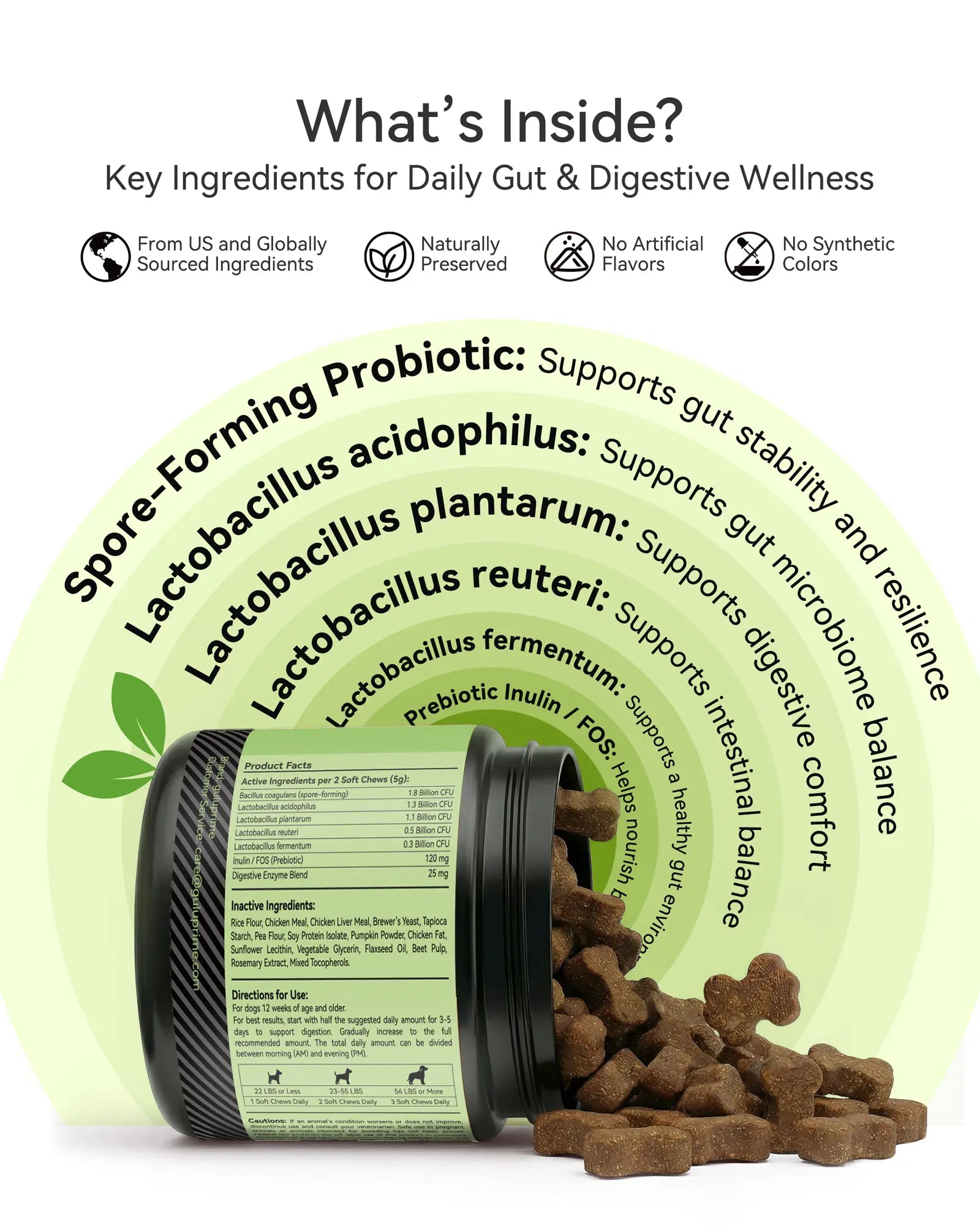 Daily Probiotic Chews for Dogs – Gut Health & Digestive Support Supplement, Spore-Forming Bacillus Coagulans, Multi-Strain Lactobacillus with Prebiotic Inulin/Fos, Chicken Flavor, 120 Soft Chews