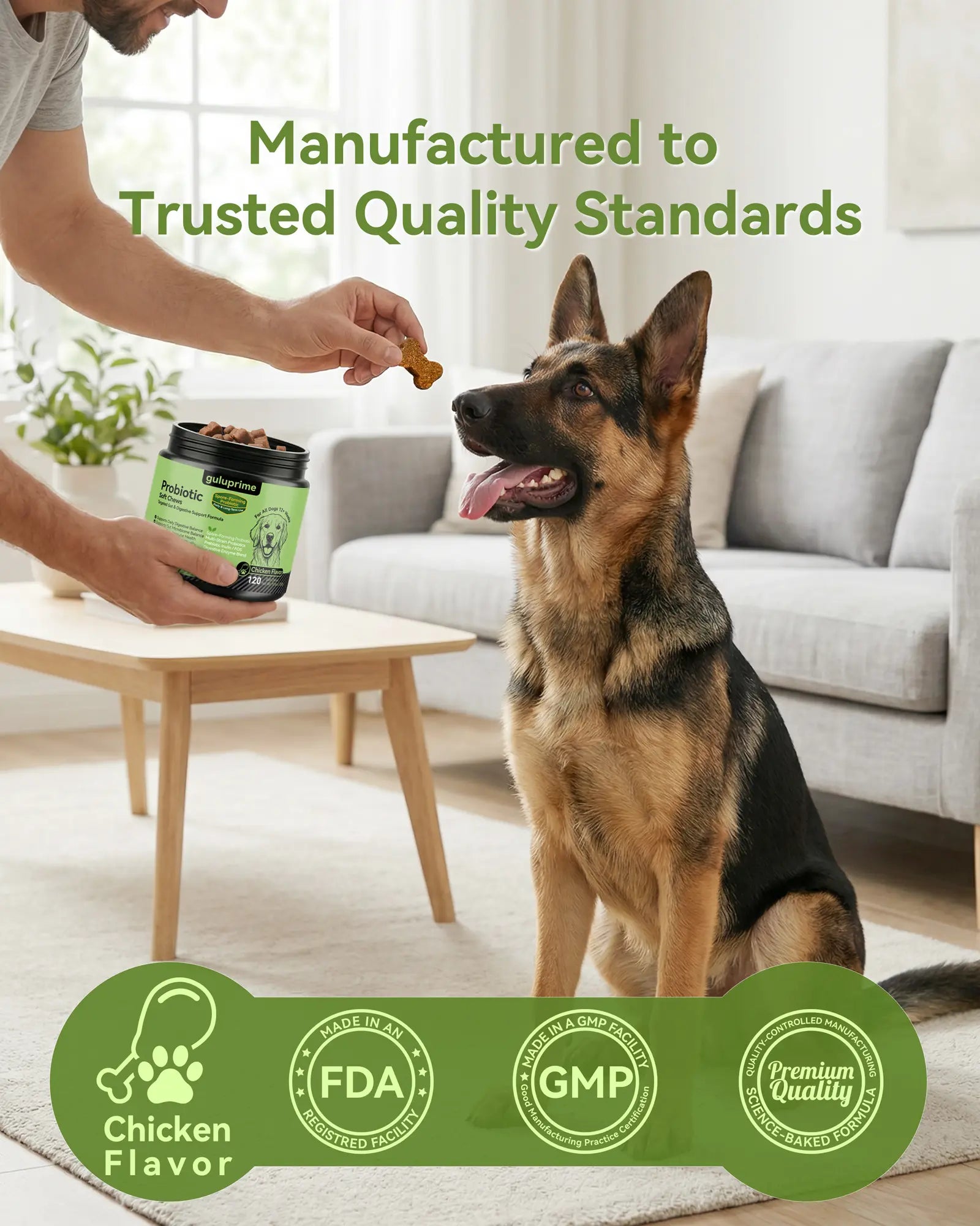 Daily Probiotic Chews for Dogs – Gut Health & Digestive Support Supplement, Spore-Forming Bacillus Coagulans, Multi-Strain Lactobacillus with Prebiotic Inulin/Fos, Chicken Flavor, 120 Soft Chews