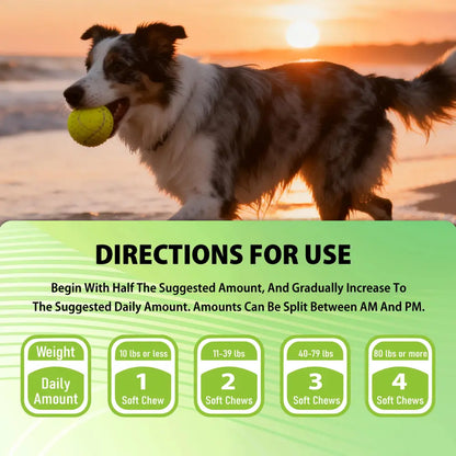 Ourcares Natural Outdoor Defense Dog Chewables – 12 Count Chicken-Flavored Chews with Coconut Oil & Vitamins for Comprehensive Pet Wellness & External Protection Support，Glb